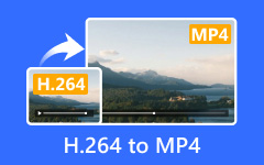H.264 Files to MP4