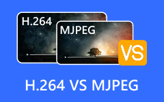 H264 vs MJPEG