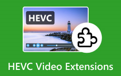 HEVC Video Extensions