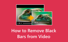 How to Remove Black Bars from Video