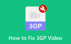 Repair 3GP Video