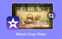 iMovie Crop Video