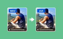 MKV to AVI