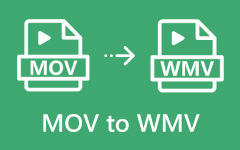 MOV to WMV