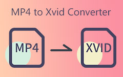 MP4 to XVID Converter