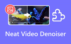 Neat Video Denoiser