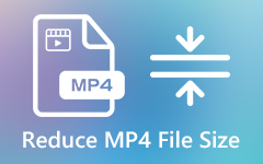 Reduce MP4 Video Files Size