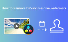 Remove DaVinci Resolve Watermark