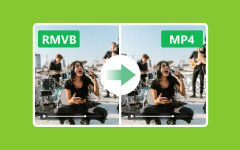 RMVB to MP4