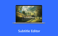Subtitle Editor