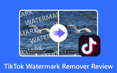 Best GIF Maker
