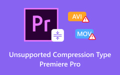 Unsupported Compression Type in Premiere Pro