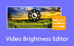 Video Brightness Editor