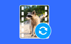 Video Converter