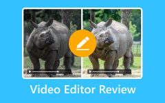 Video Editor Review
