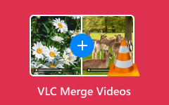 VLC Media Player