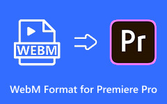 WebM Import For Premiere Pro
