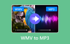 WMV to MP3