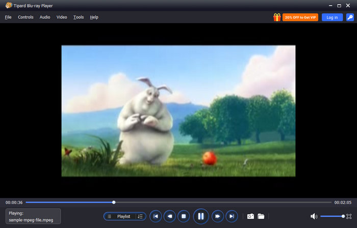 Play MPEG Video