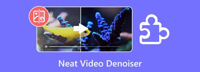 Neat Video Denoiser