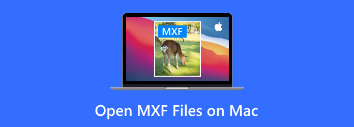 Open MXF Files on Mac