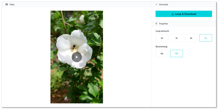 Videobolt Best Online Video Looper