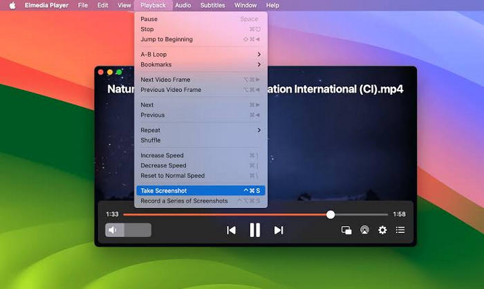 Elmedia Player
